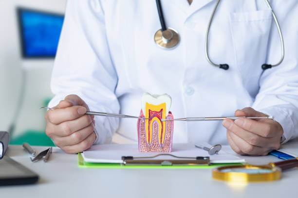 Best Dental Abscess Treatment in Wchester, IN